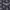 Sportswear Casual Polo shirt Pria navy photo 5