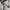 Sportswear Polo shirt Pria white photo 8