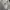 MCM Casual Hoody Wanita gray photo 1