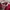 GU Y2K Casual Polo shirt Pria white red photo 5