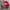 GU Y2K Casual Polo shirt Pria white red photo 2