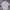 Nike Minimalist Casual Polo Shirt Pria White
