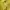 Pancoat Casual Sweatshirt Pria yellow photo 2