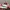 MLB Casual Hat Wanita multicolor photo 7