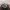 Elstinko Casual Hat Kids multicolor photo 1