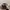 Elstinko Casual Hat Kids multicolor photo 5