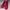 Crocs Vintage Wanita pink photo 2