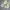 Guess Casual Sweatshirt Wanita cream photo 1