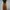 Luxury Pencil skirt Wanita brown photo 1