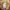 Undercover Streetwear Wide leg jeans Wanita brown photo 6