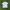Streetwear Y2K T-shirt Pria white photo 3