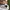 Oakley Streetwear Sportswear Polo shirt Pria white photo 3