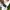 Oakley Streetwear Sportswear Polo shirt Pria white photo 5