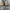 Nike Streetwear Sportswear Other Pria white photo 4
