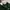 New Balance Sportswear Casual Sweater Pria green photo 3