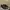 Birkenstock Luxury Indie Casual Shoe Pria White Black