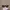 Oakley Vintage Y2K Pria black photo 1