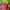 Crocs Luxury Sandals & slide Pria red photo 1