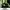 Aspesi Vintage Streetwear Parka Pria green photo 2