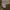 Hollister Luxury Minimalist Crop top Wanita tan photo 2