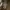 Hollister Luxury Minimalist Crop top Wanita tan photo 4