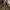 Hollister Luxury Minimalist Crop top Wanita tan photo 5