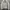 niko and ... Vintage Harrington jacket Pria white photo 1