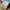 Nike Streetwear Sportswear Hat Pria white photo 5
