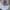 Nike Streetwear Sportswear Hat Pria white photo 2