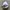 Nike Streetwear Sportswear Hat Pria white photo 4