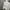 Stussy Streetwear T-shirt Pria gray photo 4