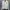 Nike Sportswear Track jacket Pria white photo 1