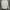 Adidas Sportswear Casual Track jacket Pria white photo 7