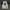 Nike Sportswear Jersey Pria white photo 1