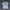 Under Armour Sportswear Jersey Pria white photo 1