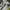 Under Armour Sportswear Jersey Pria white photo 3