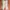H&M Casual Culotte Wanita cream photo 1