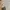 H&M Casual Culotte Wanita cream photo 5
