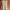 H&M Casual Culotte Wanita Tan