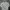 Vintage Windbreaker Pria white gray photo 1