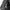 Converse Casual Puffer jacket Pria gray photo 4