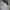The North Face Sportswear Jersey Pria black gray photo 4