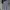 The North Face Sportswear Jersey Pria black gray photo 1