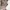 Gorpcore Casual Parka Pria brown photo 7
