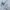 Polo Ralph Lauren Luxury Casual Formal shirt Pria white blue photo 5