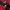 Stussy Streetwear Polo shirt Pria red photo 6
