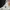 Sportswear Track jacket Pria white black photo 4
