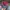 K-Swiss Casual Hat Wanita multicolor pink photo 5