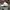 Casual Hat Pria white photo 2