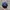 Canterbury Vintage Hat Pria Navy Blue